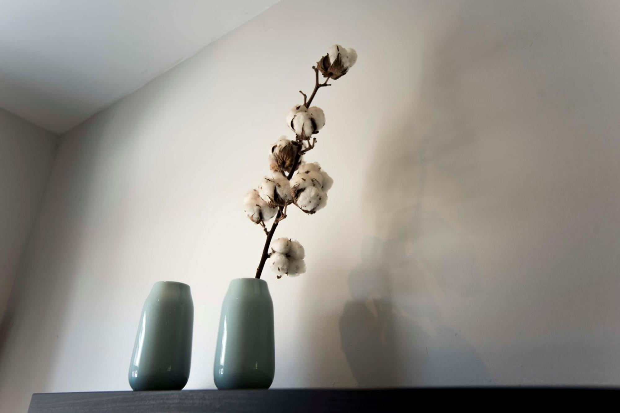 Family Home Hendriks 잔드보르트 외부 사진